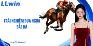 Trải Nghiệm Đua Ngựa Bắc Hà LLWIN: Góc Nhìn Cược Hấp Dẫn